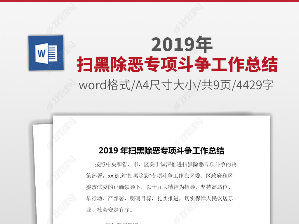 2019年扫黑除恶专项斗争工作总结word