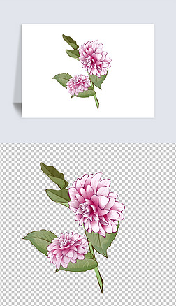 卡通手绘风格多种观花植物花卉大丽花