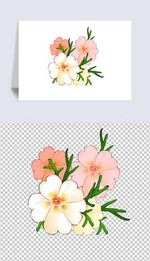 原创卡通手绘风格多种观花植物花卉秋英-版权可商用