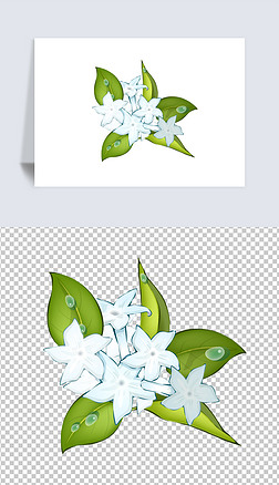 卡通手绘风格多种观花植物花卉六月雪