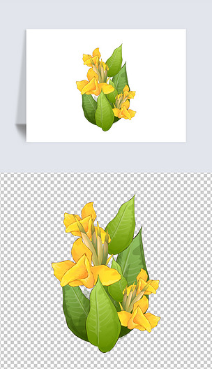 原创卡通手绘风格多种观花植物花卉大花美人蕉版权可商用