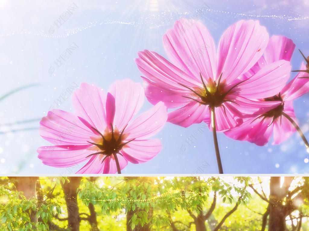 励志歌曲阳光路上唯美自然风景LED背景视频