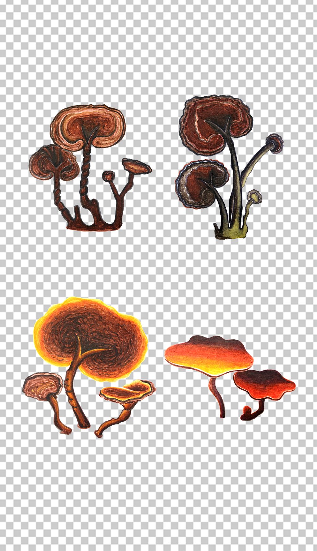 卡通手绘灵芝png