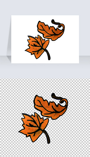 手绘落叶png