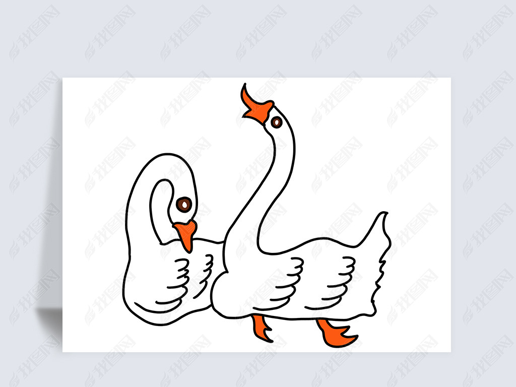原创手绘家禽大白鹅插画大白鹅一群鹅白色的白鹅手绘插画版权可商用