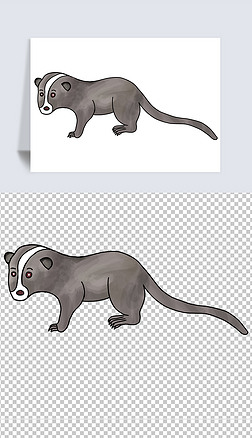 卡通果子狸花面狸动物插画野生动物保护野生动物拒绝野味元素素材