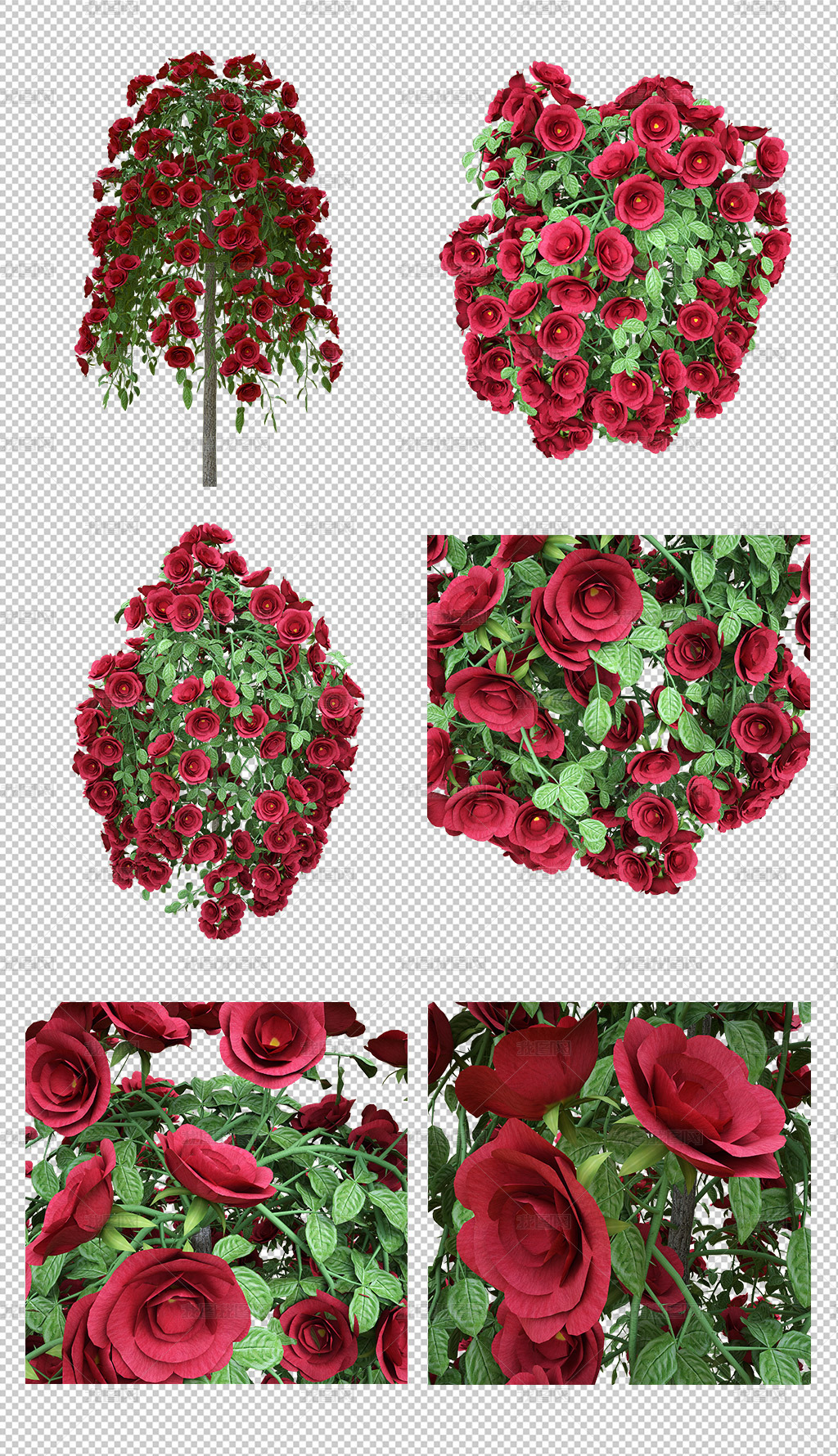红色花卉玫瑰花树鲜花免抠素材png图片模板下载 动物植物 我图网
