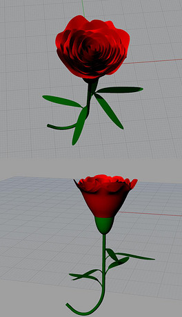 康乃馨花朵花瓣犀牛模型3d模型obj模型