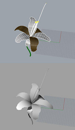 花朵鲜花花瓣犀牛模型