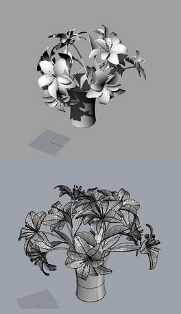 兰花插花花朵鲜花瓣犀牛模型