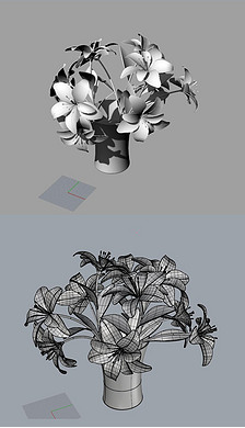 兰花插花花朵鲜花瓣犀牛模型