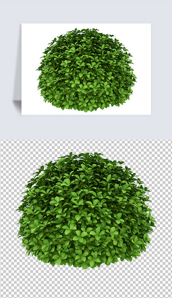 原创圆形草丛灌木花坛园艺造型植物png免抠图版权可商用