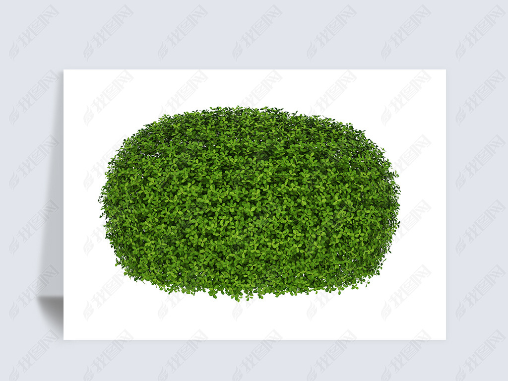椭圆绿植物花坛园艺造型植物png免抠图图片素材下载-我图网