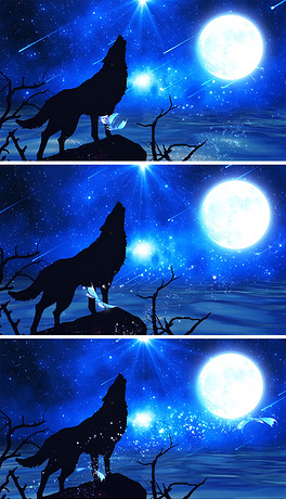 梦幻星空狼文化狼性led背景视频