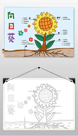 植物生长夏天来了线描手抄报素材花朵学校班级文化班组文化墙校园文化