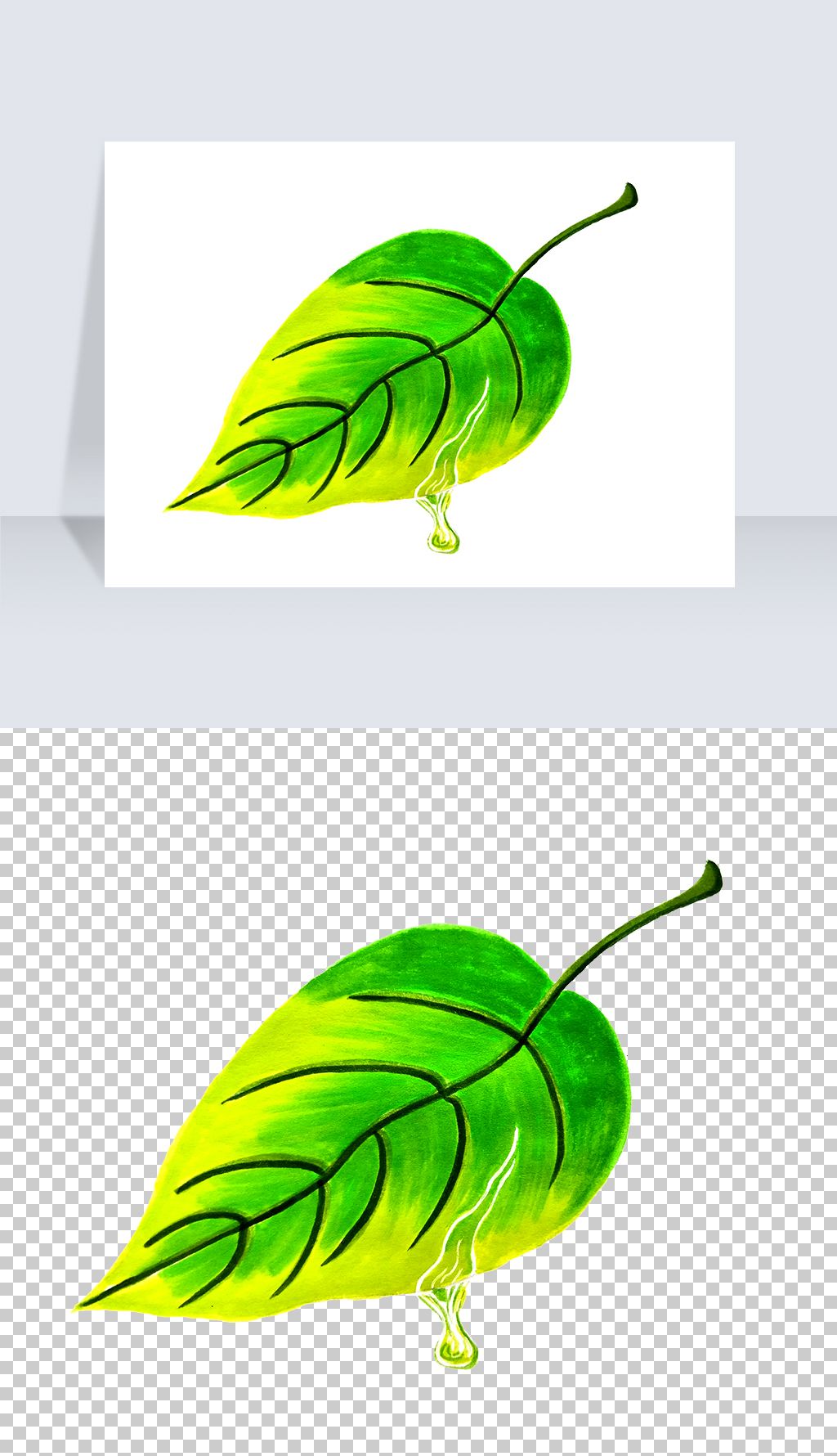 卡通一片树叶免抠png