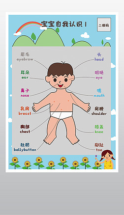 宝宝认知早教挂图人体认识身体英文启蒙
