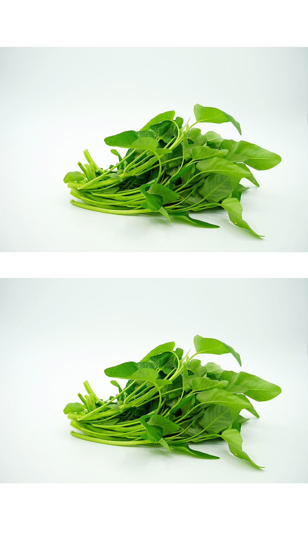 通心菜下载-编号23819592-餐饮美食-我图网