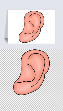 五官耳朵结构专题模板-五官耳朵结构图片素材下载-我图网