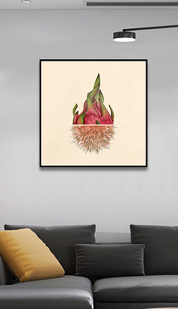 现代时尚简约水果火龙果抽象实物装置小清新艺术装饰画