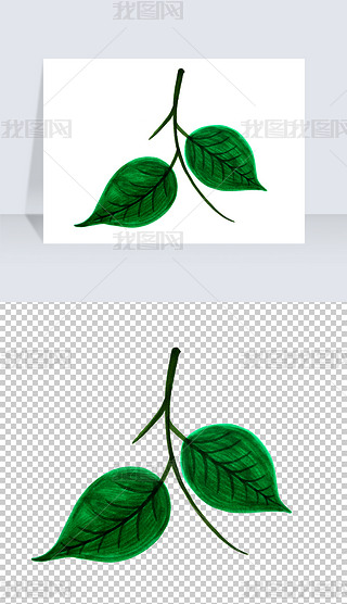 树叶绿色树叶绿叶免抠png
