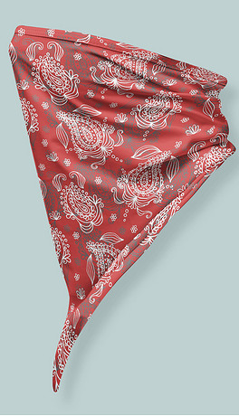 纱巾方巾围巾围脖丝巾贴图样机