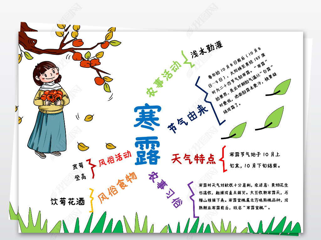 原创word简单思维导图寒露电子手抄报模板-版权可商用
