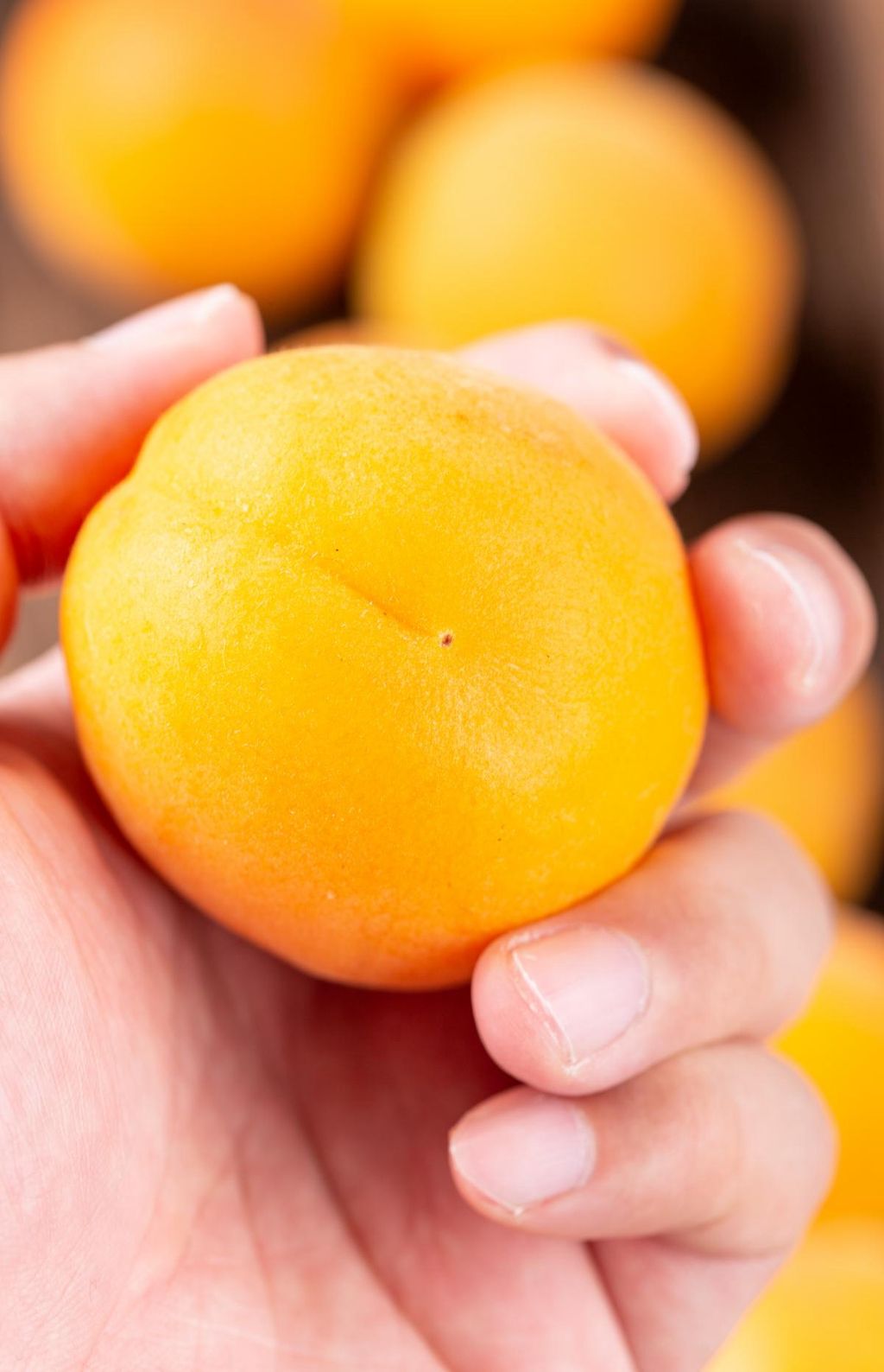 黄色的杏子水果