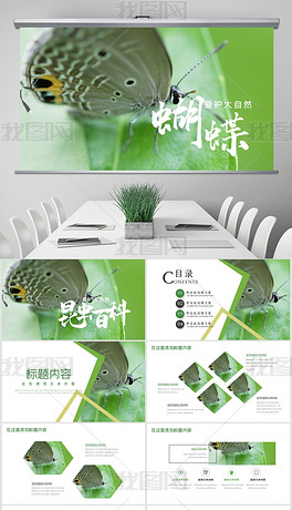 绿色环保大自然昆虫生物蝴蝶百科ppt模板