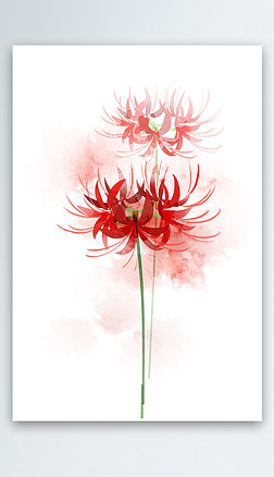 彼岸花,插画|原创手绘彼岸花国画泼墨写意国潮玄关原画