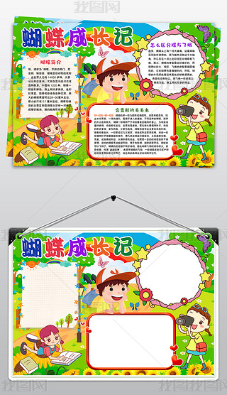 我喜欢的昆虫小报蝴蝶养成记小报保护动物手抄报