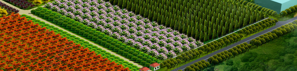 原创苗圃绿化景观鸟瞰图psd分层源文件设计素材版权可商用