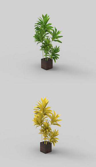盆景植物犀牛3D模型