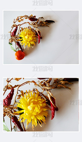 辣椒菊花实物拍摄