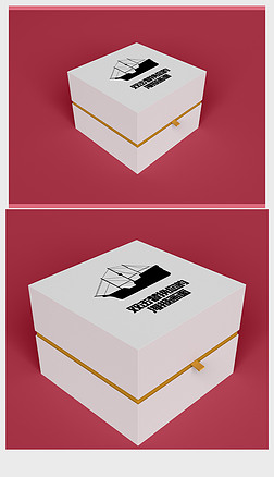 高端大气礼品包装样机