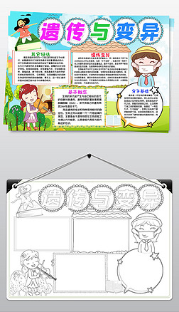 遗传与变异的小报模板图片