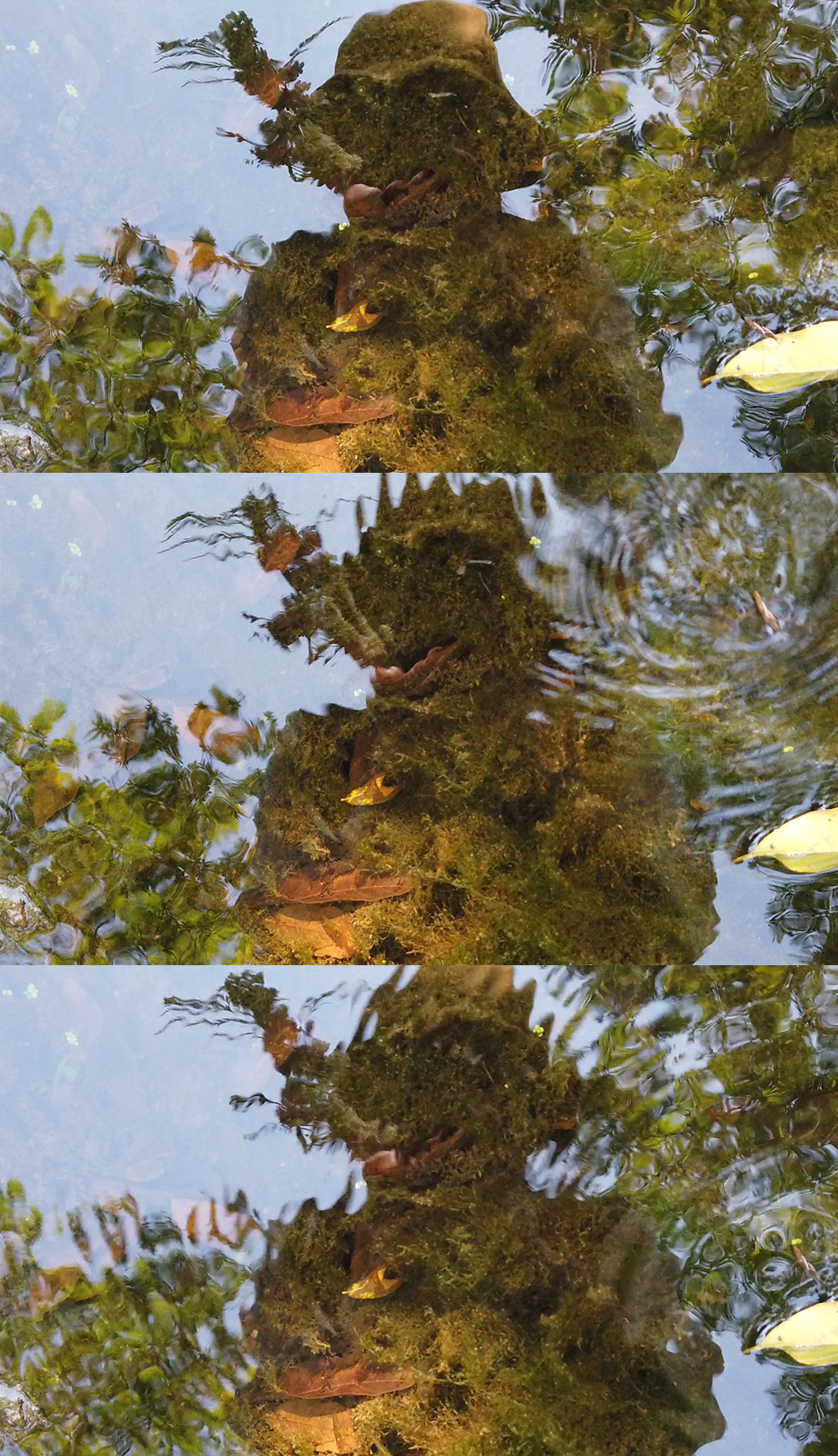 人物溪水中的倒影慢动作