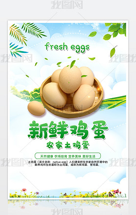 新鲜鸡蛋农家土鸡蛋海报宣传展板图片