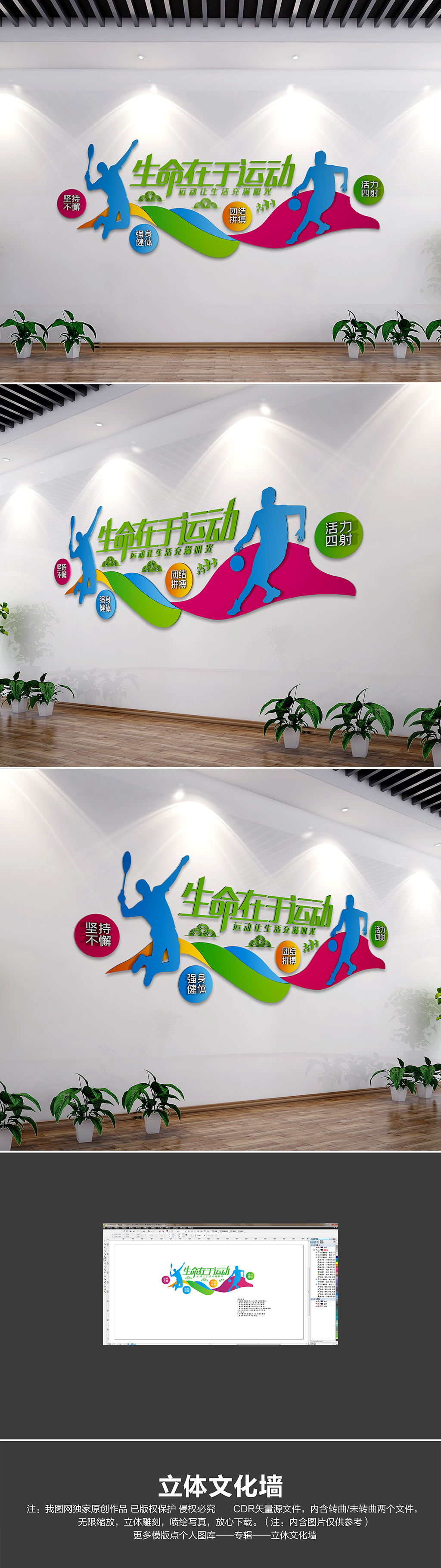 多彩体育健身文化墙校园运动文化墙
