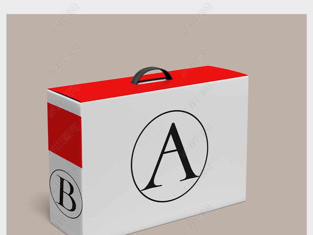 简洁大气手提袋纸盒样机设计