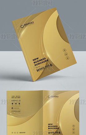 金色流线时尚封套标书企业宣传册画册封面设计