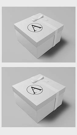 精美大气礼品盒包装样机