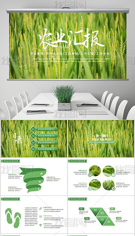 简约绿色农业汇报农业生产水稻种植ppt模板