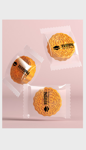 简洁高端月饼设计样机