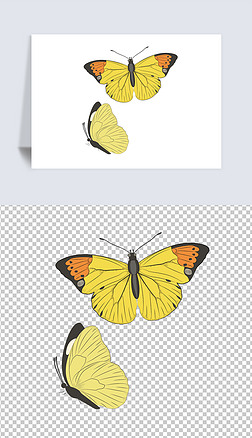 枯叶蝶素材免抠元素|蝴蝶素材免抠蝴蝶创意素材蝴蝶