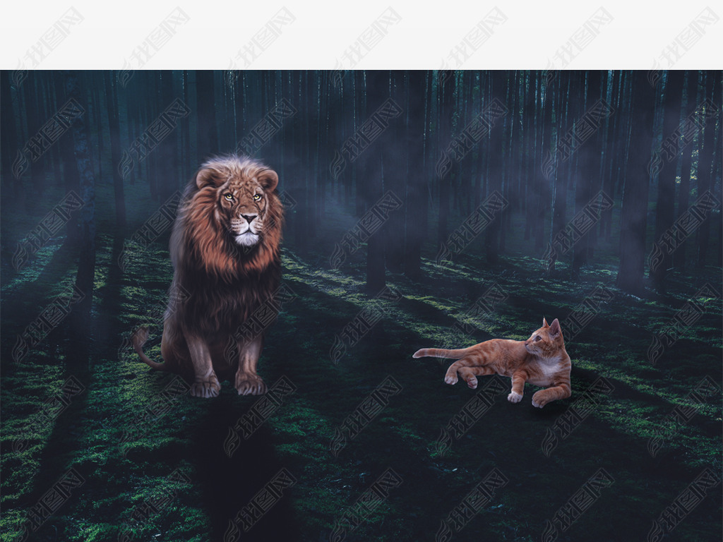 原创丛林里的狮子与猫创意合成背景版权可商用
