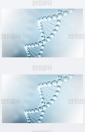 dna ѧ