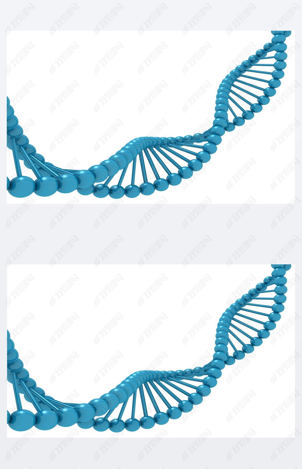 ɫϵģͷ dna ṹ