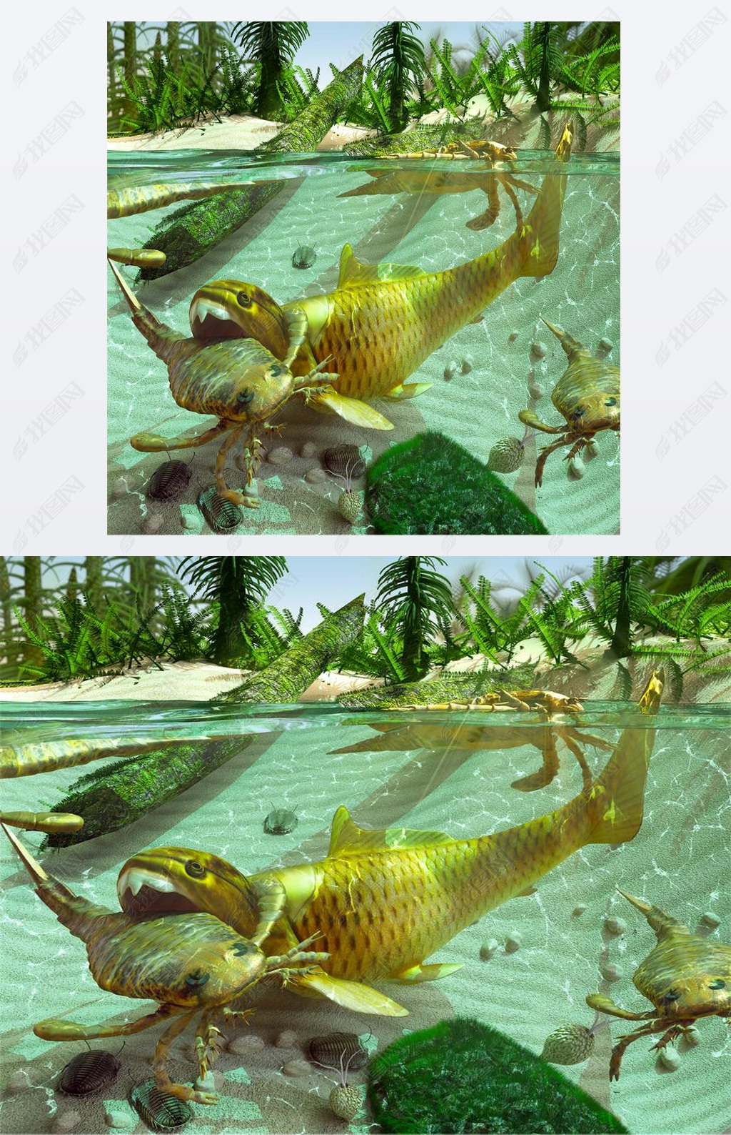 Devonian Lake Cycle Of Life