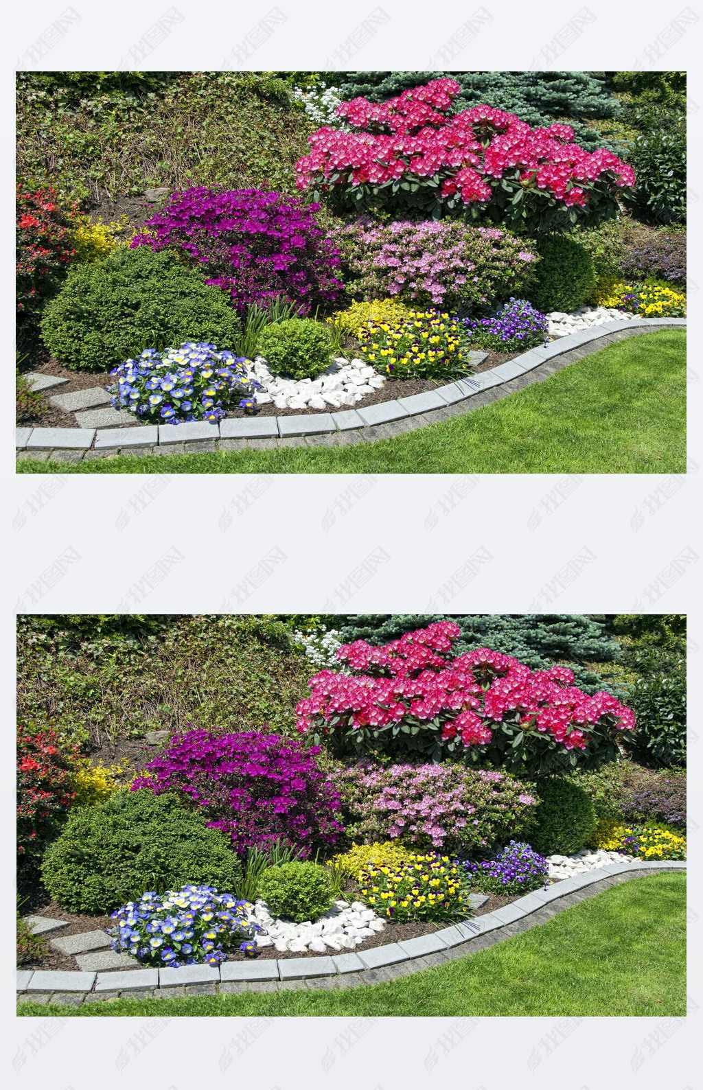 园林的花卉花园